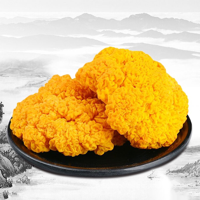 金耳电子科技